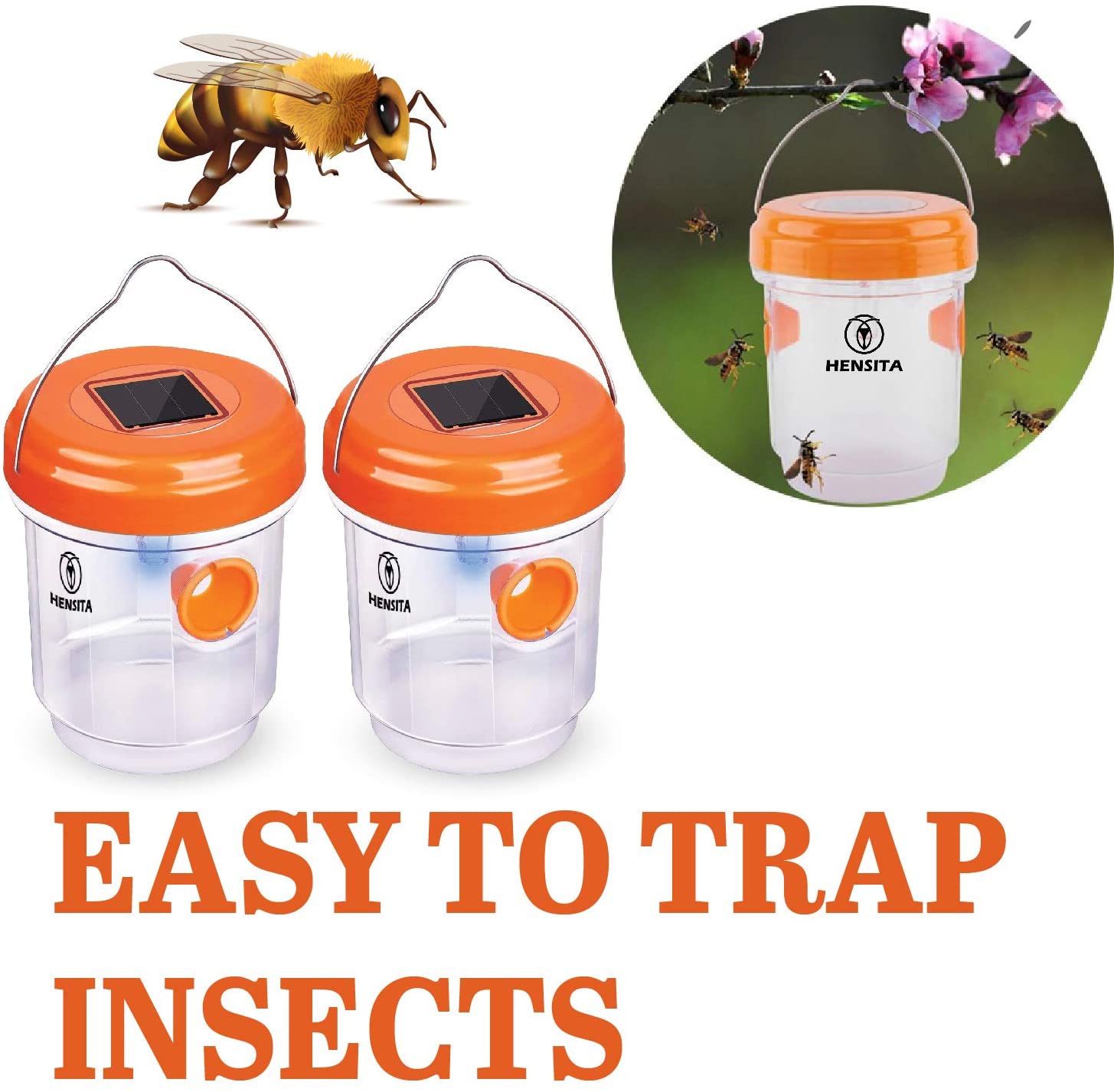 71sE6EBLGbL._AC_SL1500_