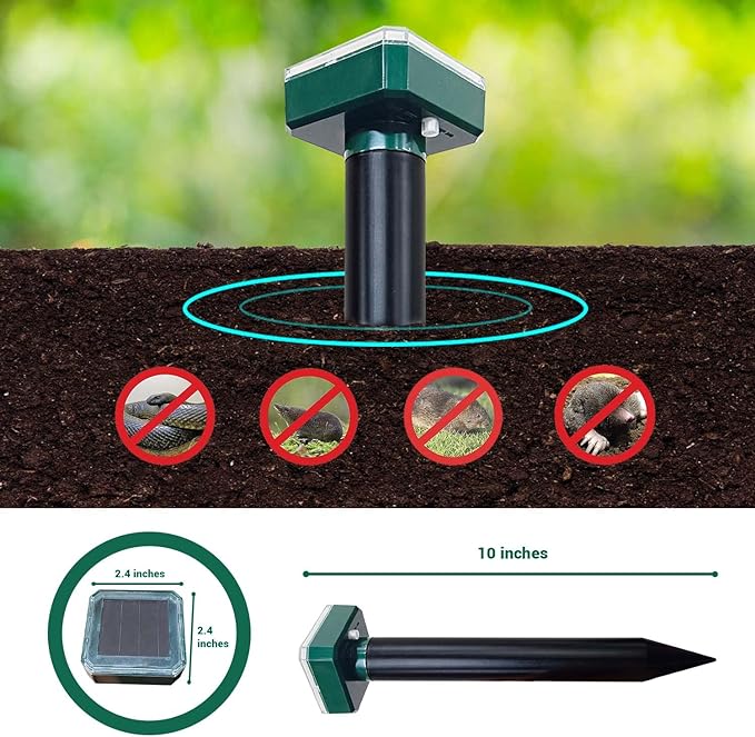 71QMpFDV0zL._AC_SX679_