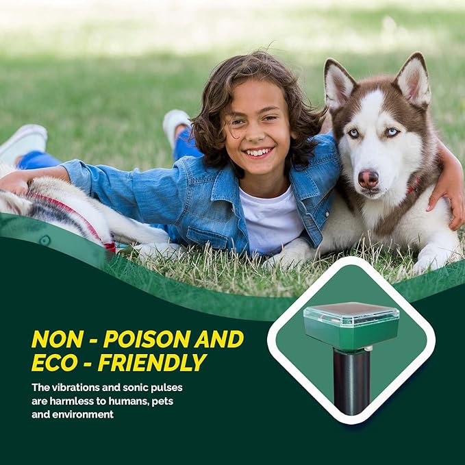 71W9VdARbqL._AC_SX679_