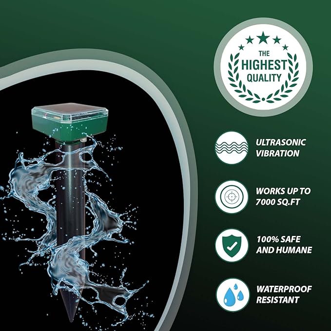 71mUeTNtaTL._AC_SX679_