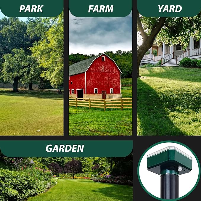 81n1UA-qFlL._AC_SX679_