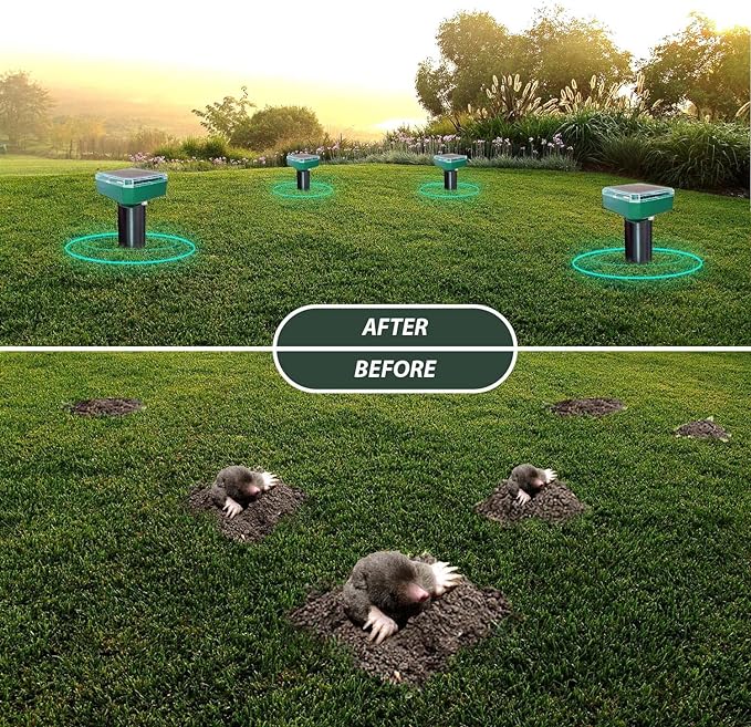 91wPxbB5pqL._AC_SX679_